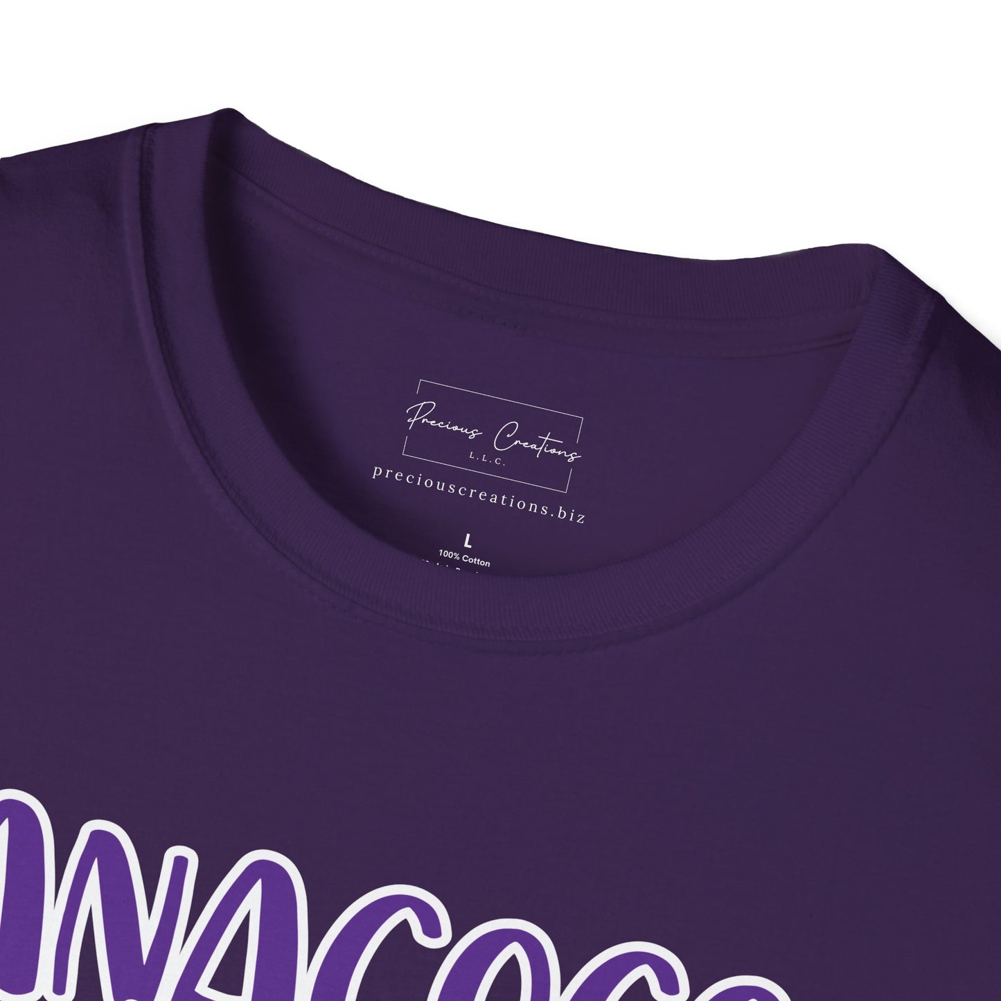 Gildan Anacoco Indians Style 2 Unisex Softstyle T-Shirt, Cute Graphic Tee, Team Spirit Shirt, Casual Wear, Gift for Fans