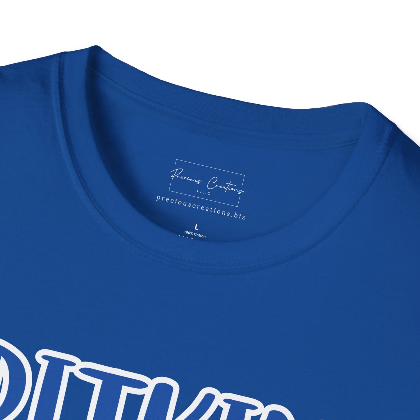 Gildan Pitkin Tigers Style 2 Unisex Softstyle T-Shirt, Cute Graphic Tee, Team Spirit Shirt, Casual Wear, Gift for Fans