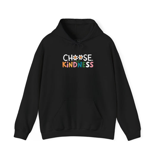 Gildan Choose Kindness Hoodie, Comfortable Sweatshirt, Gift for Friends, Inspirational Apparel, Cozy Layering