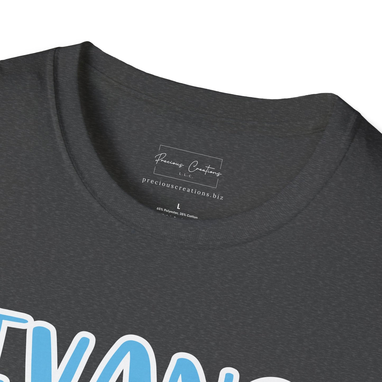 Gildan Evans Eagles Style 2 Unisex Softstyle T-Shirt, Cute Graphic Tee, Team Spirit Shirt, Casual Wear, Gift for Fans