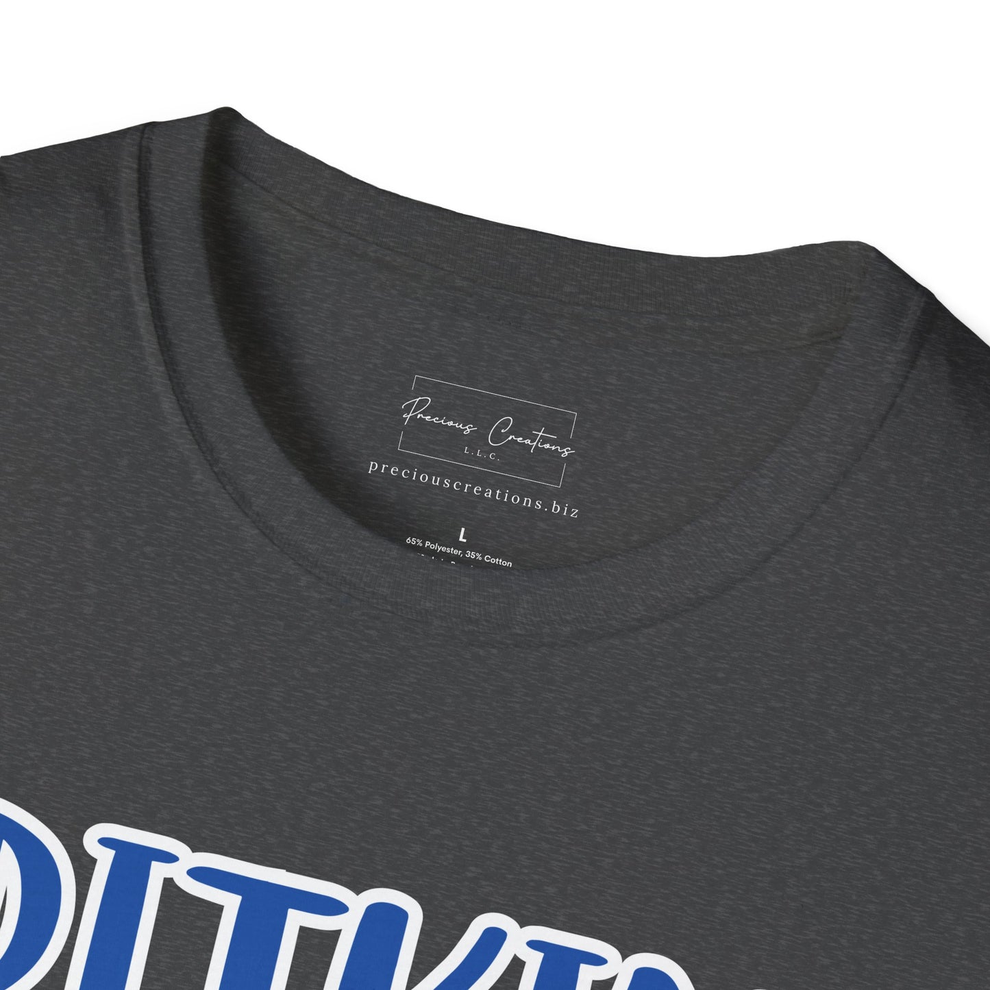 Gildan Pitkin Tigers Style 2 Unisex Softstyle T-Shirt, Cute Graphic Tee, Team Spirit Shirt, Casual Wear, Gift for Fans