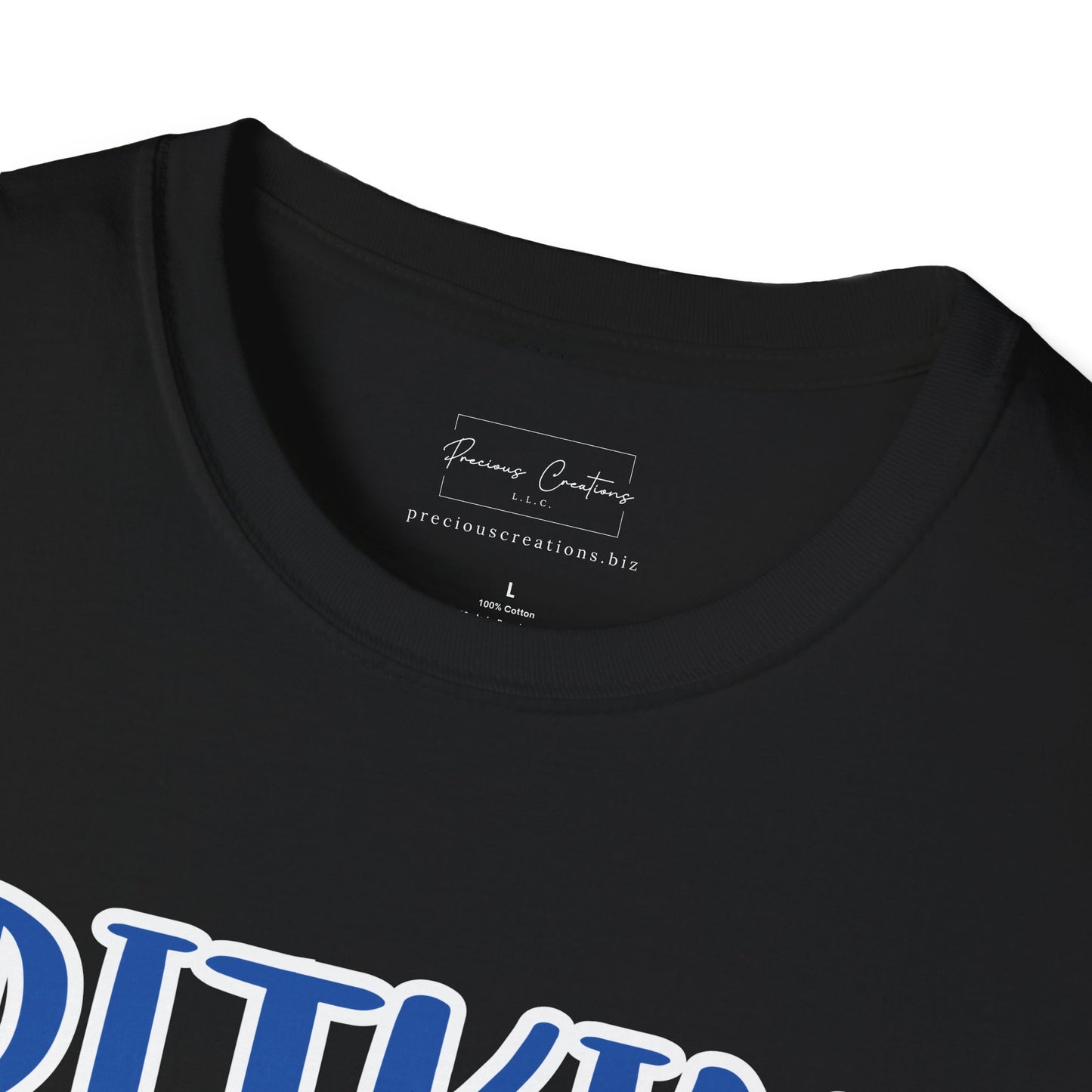 Gildan Pitkin Tigers Style 2 Unisex Softstyle T-Shirt, Cute Graphic Tee, Team Spirit Shirt, Casual Wear, Gift for Fans