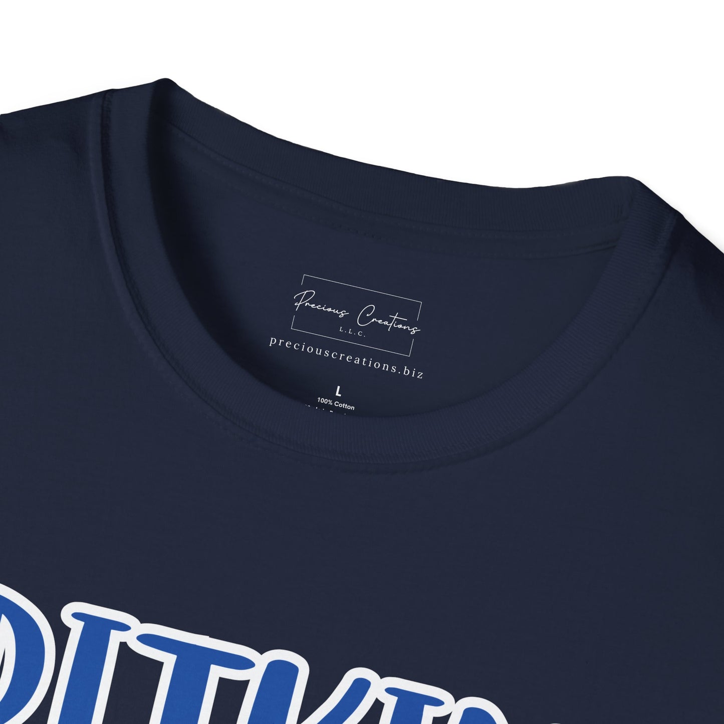 Gildan Pitkin Tigers Style 2 Unisex Softstyle T-Shirt, Cute Graphic Tee, Team Spirit Shirt, Casual Wear, Gift for Fans