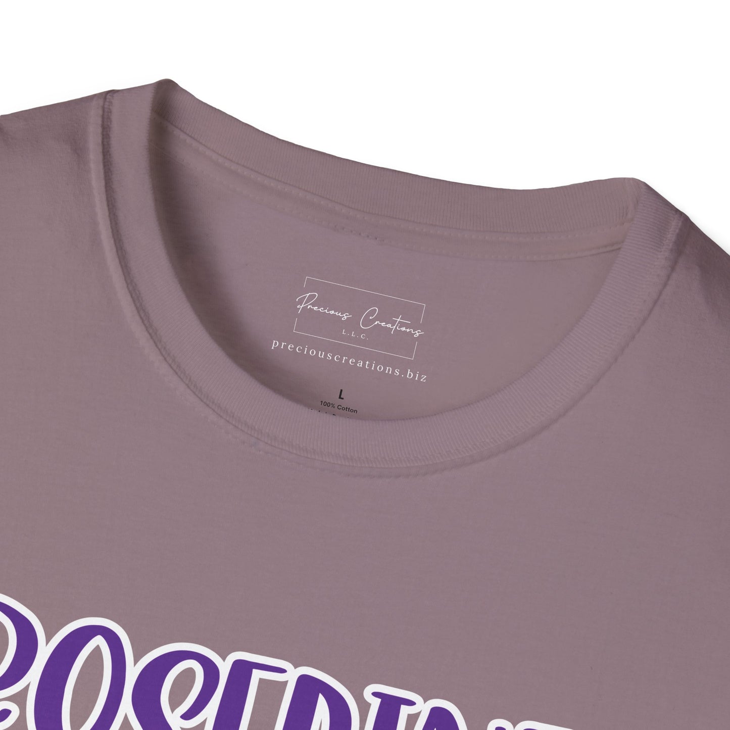 Gildan Rosepine Eagles Style 2 Unisex Softstyle T-Shirt, Cute Graphic Tee, Team Spirit Shirt, Casual Wear, Gift for Fans