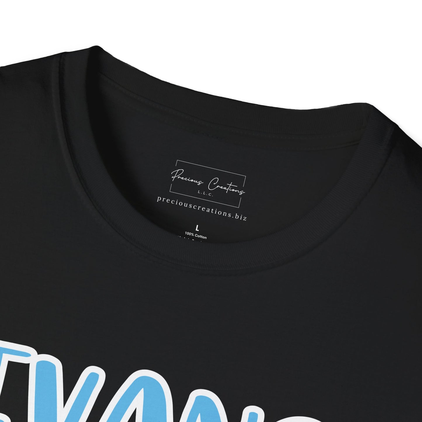 Gildan Evans Eagles Style 2 Unisex Softstyle T-Shirt, Cute Graphic Tee, Team Spirit Shirt, Casual Wear, Gift for Fans