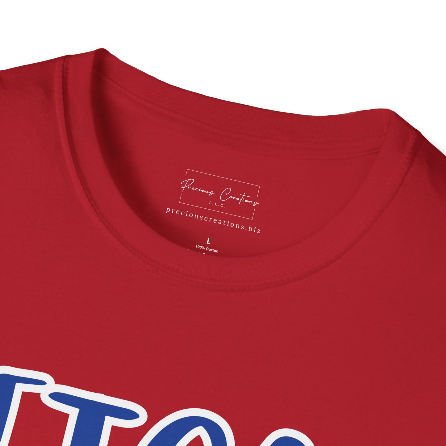 Gildan Faith Training Christian Academy Patriots Style 2 Unisex Softstyle T-Shirt, Cute Graphic Tee, Team Spirit Shirt, Casual Wear, Gift for Fans